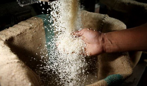 Rice export leaps 23.4 pct y-o-y