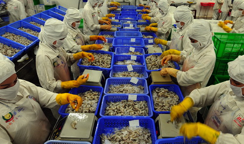 Shrimp exports to rise as Japan relaxes residue regulation