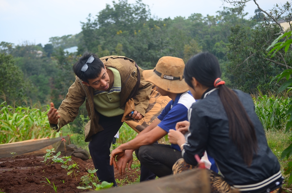 Japanese man grows safe vegetables in central Vietnam