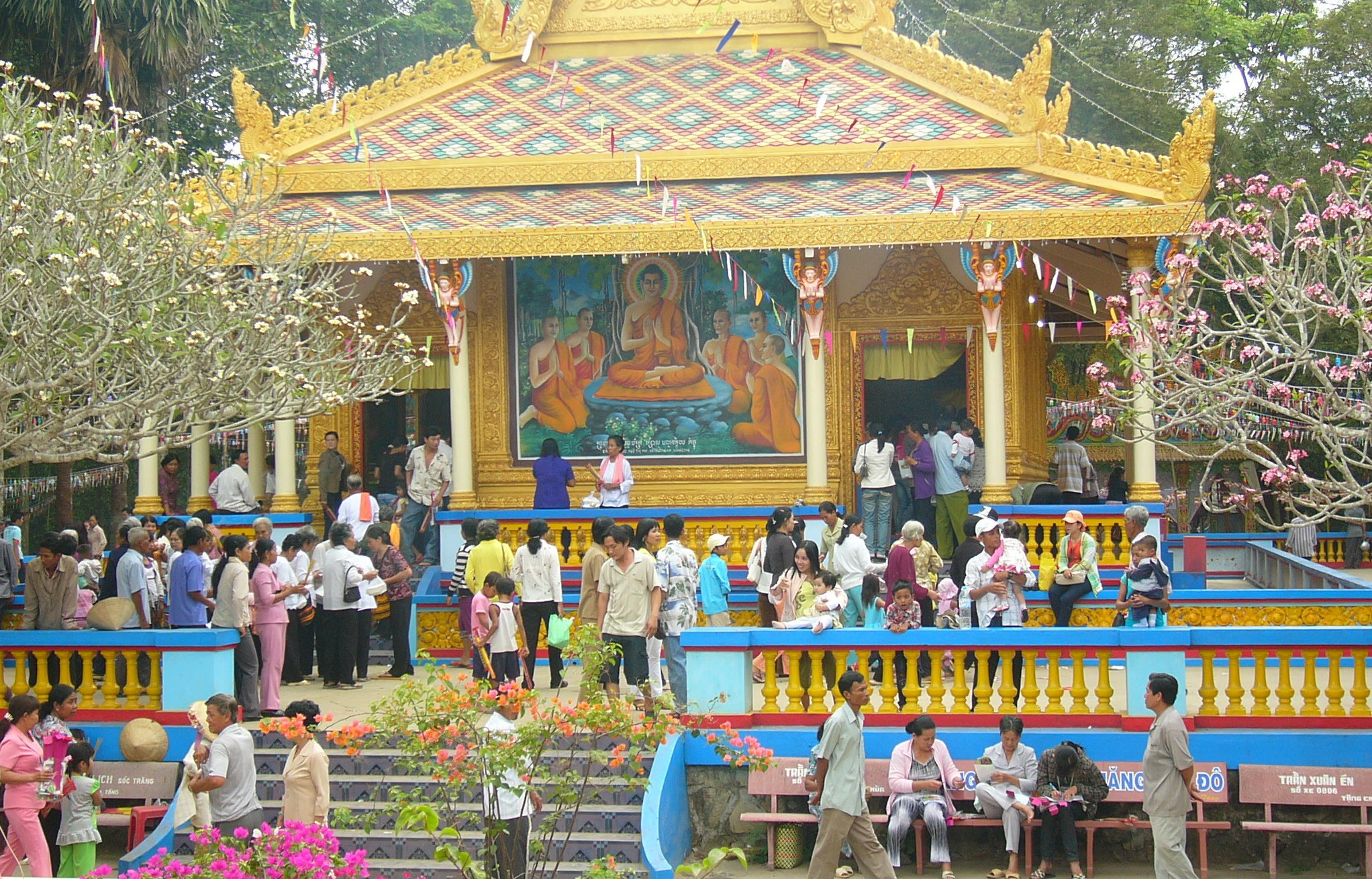 Bo barat. Colorful Vietnam.