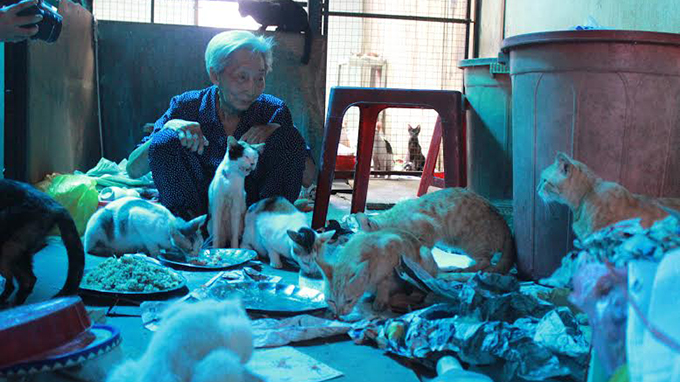 The saviors of stray dogs, cats in Vietnam | Tuoi Tre News