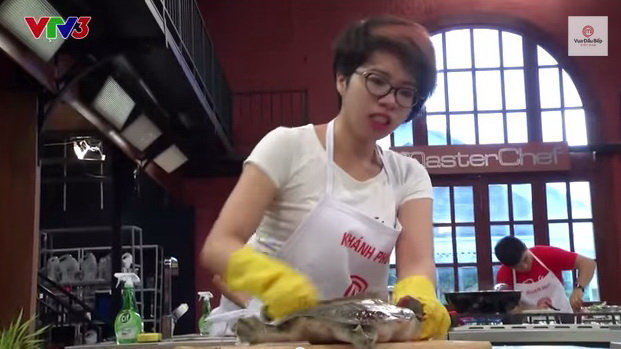 Vietnam's national TV admits error in airing live turtle beheading on cooking show