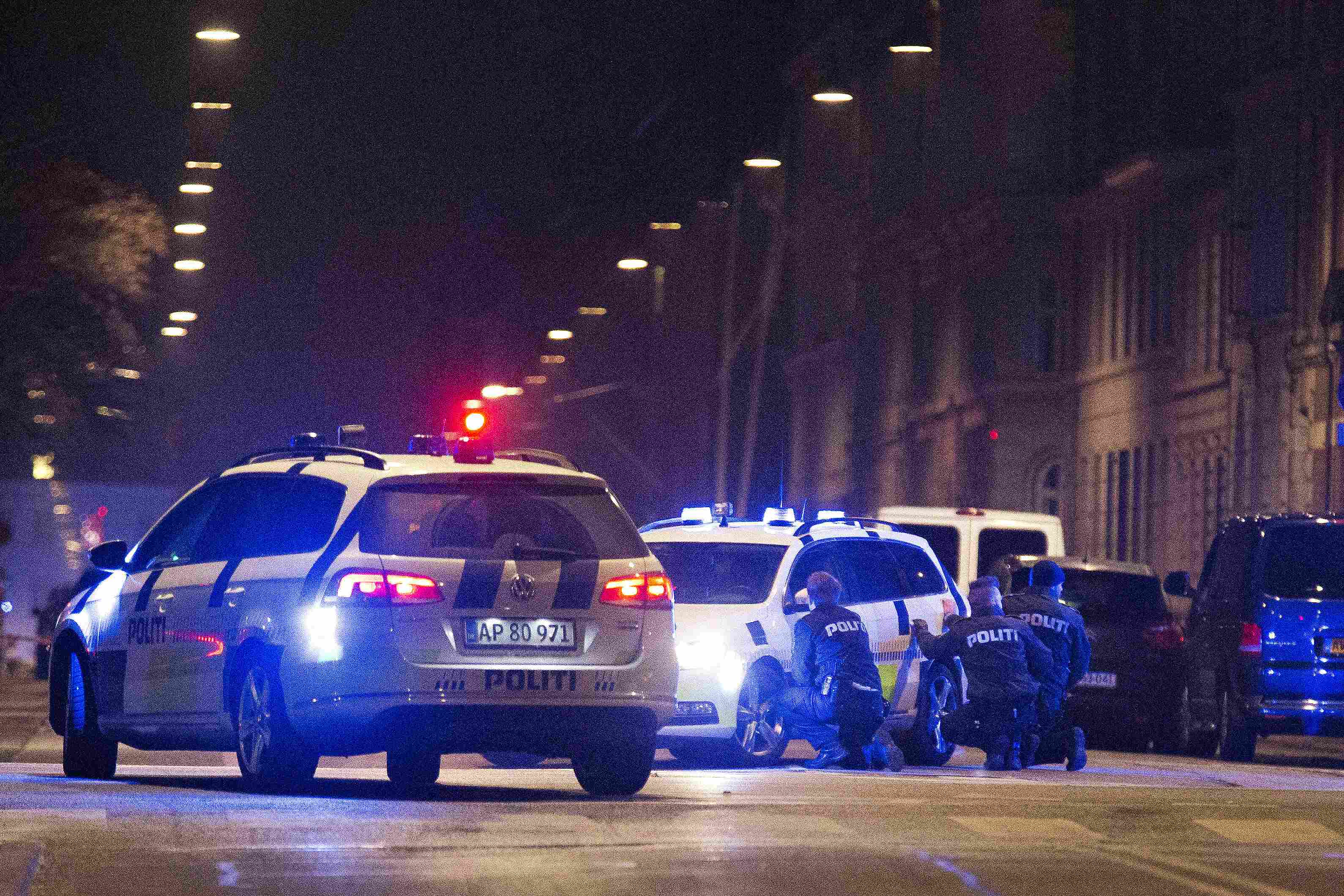Two dead in Copenhagen shootings labelled 'terrorist' by PM