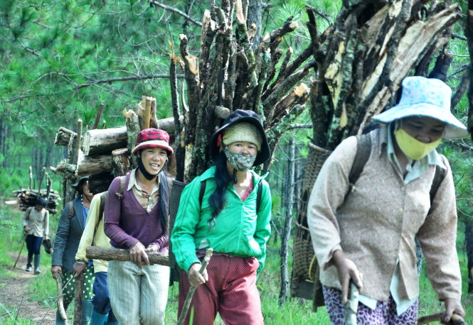 Women on their way back home after collecting firewood.