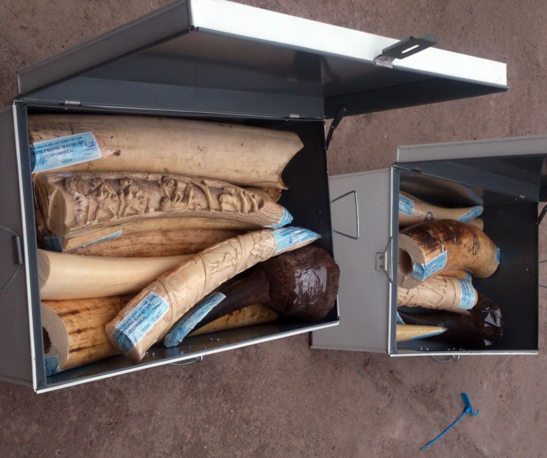 Over 95kg of alleged elephant tusks smuggled from Africa to Vietnam