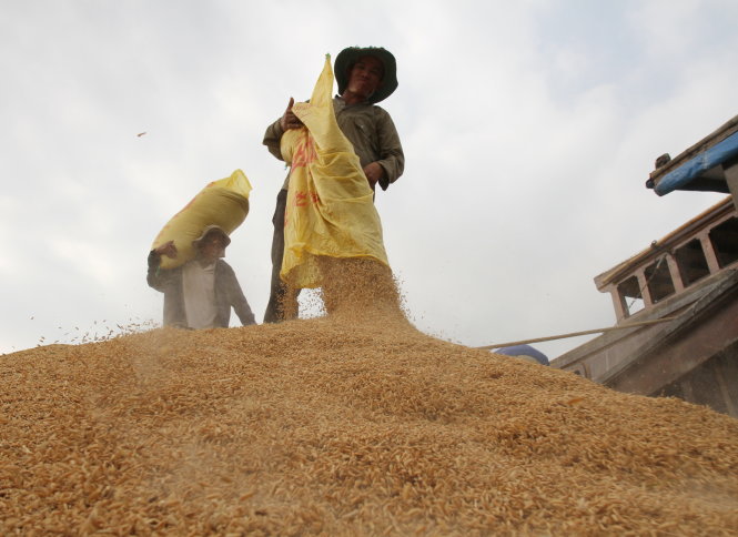 Vietnam urged to build national rice brand to grasp TPP opportunity: experts