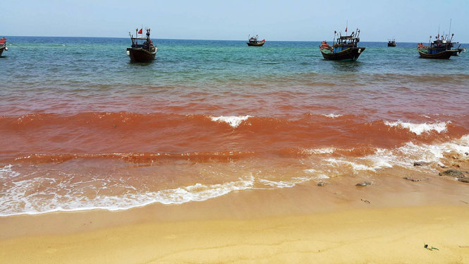 red-sea-water-cause-of-vietnam-s-fish-deaths-scientists-tuoi-tre-news