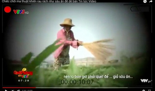 Vietnam Television apologizes for falsified story on dishonest veggie farmers