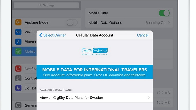 Bad news for travelers: Vietnamese mobile carriers not interested in Apple SIM
