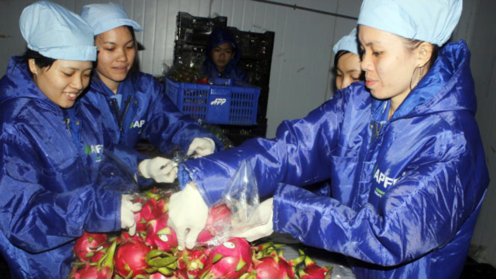 Vietnam premier seeks opportunities for agricultural exports to Australia