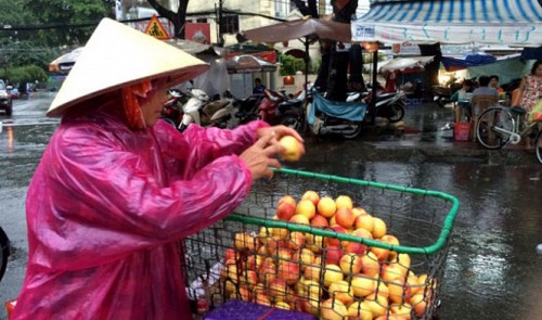 Vietnam spends $344mn importing Chinese, Thai fruits: customs