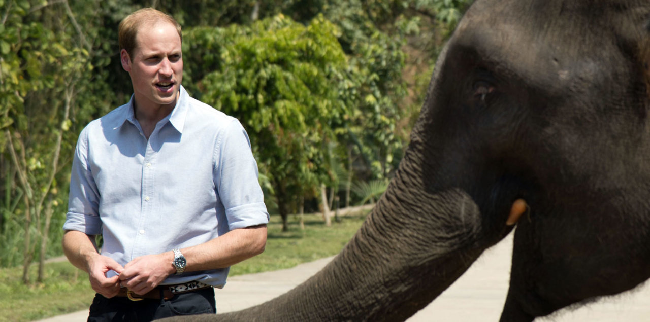 ​Prince William visits Vietnam for wildlife conservation