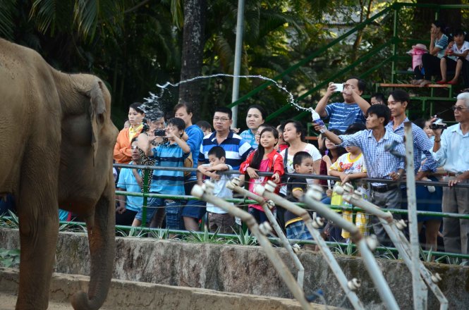 Visitor recounts terrible animal abuse during trip to Saigon zoo
