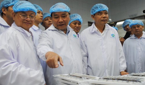 Vietnam PM ‘declares war’ on substance-injected shrimp