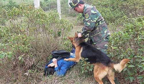 The canine warriors of Vietnam’s border defense force