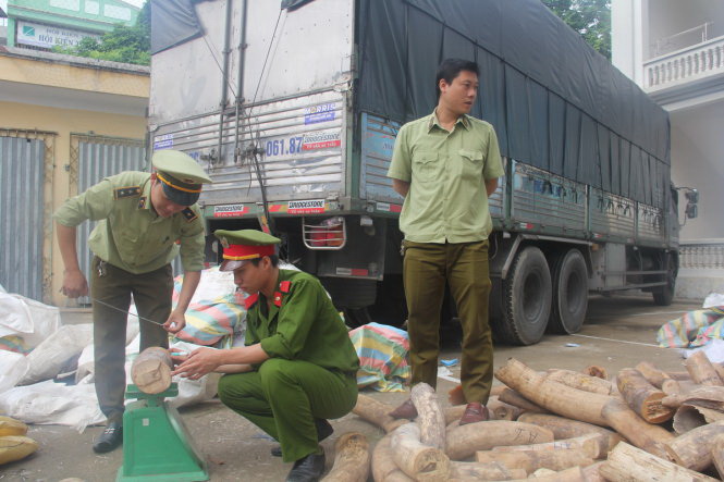 Vietnam seizes over 2.7 tons of smuggled elephant tusks