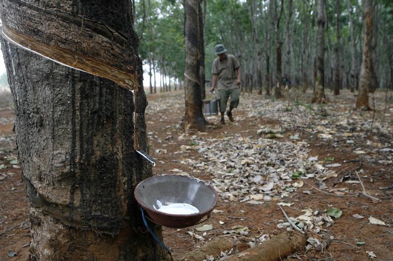 ​Vietnam Rubber Group plans to raise $563 mln in share sale
