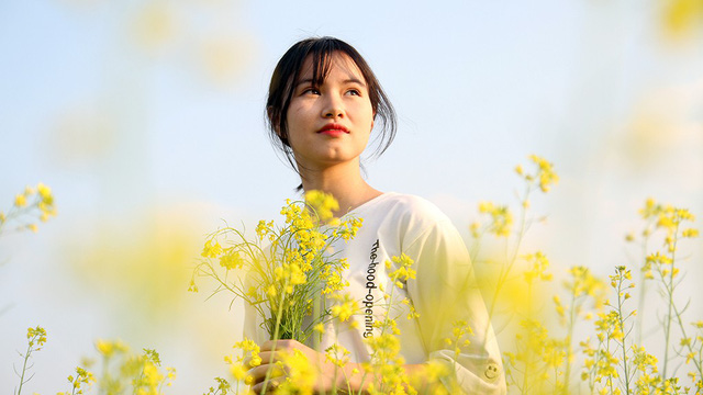 A young girl poses with the canola flowers.