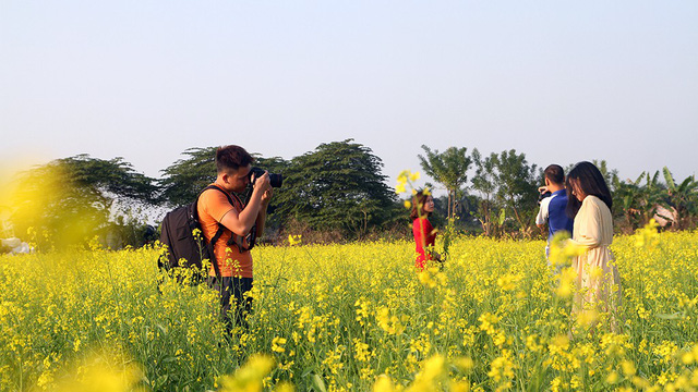 A boy takes a photo of his friend at the canola field.