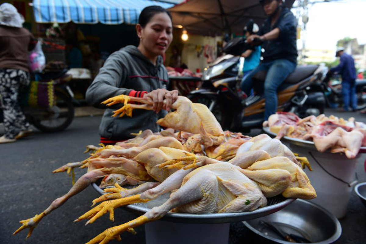 Market pork, poultry test 100% positive for E.coli in Vietnam