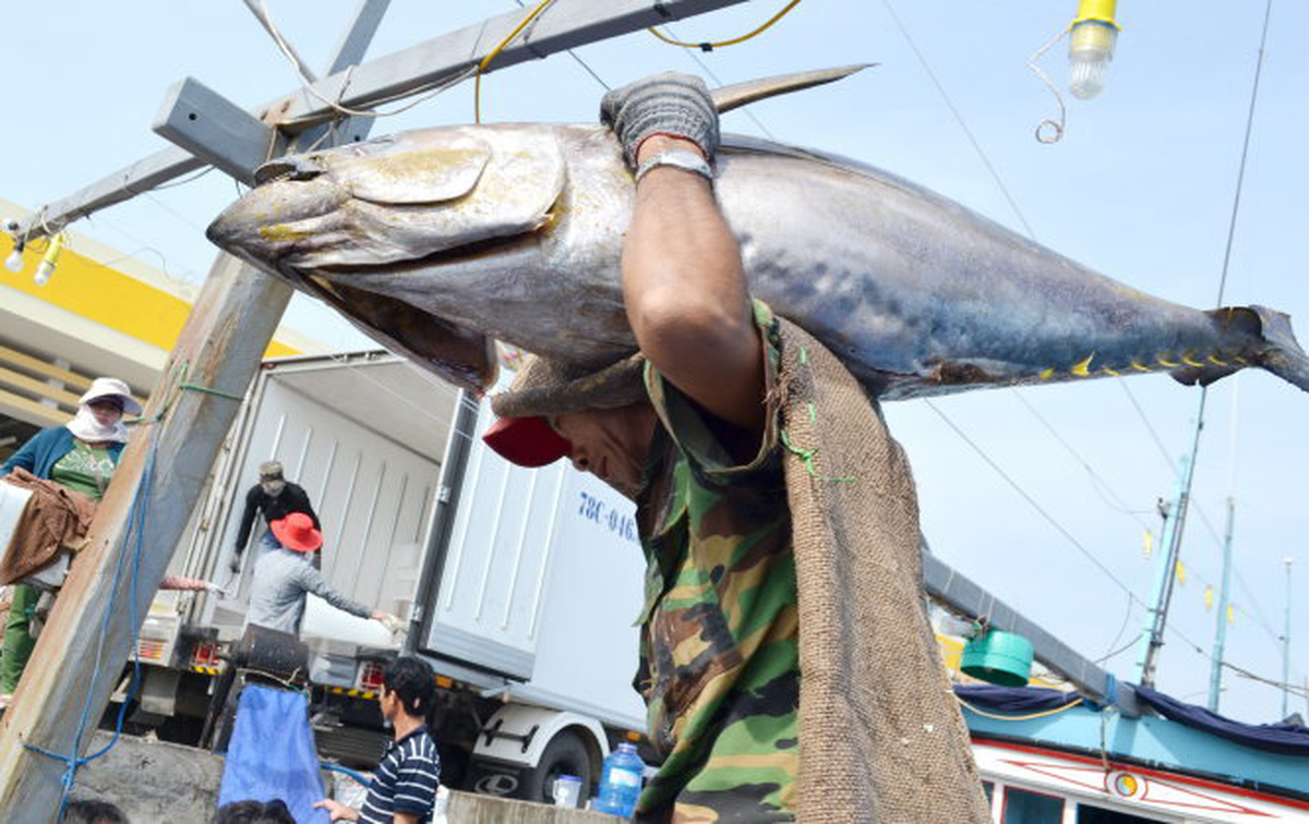 ​​Vietnam’s seafood industry reacts to ‘yellow card’ from EU