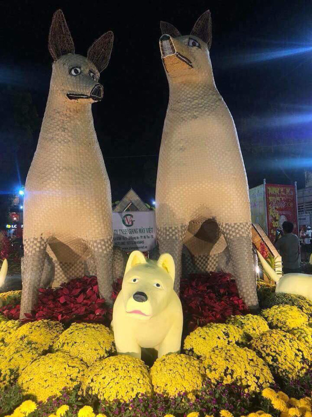 ​‘The dog that hates everyone’ featured in flower street in southern Vietnam
