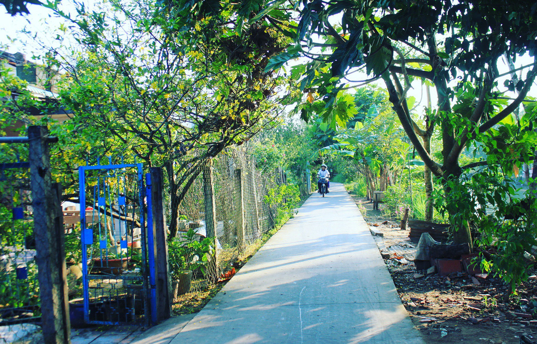 Roads leading to the village are surrounded by trees. Photo: Tuoi Tre