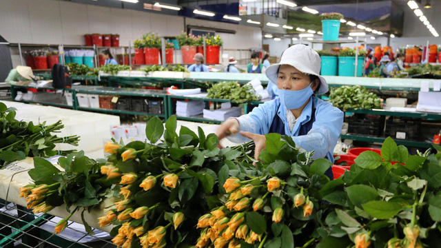 ​Vietnam’s Da Lat targets breakthrough in flower export