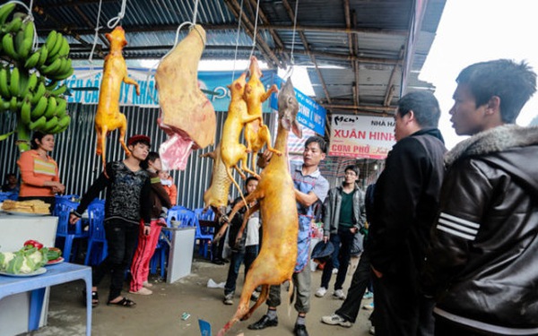 ​Vietnamese care more about edibility of wild animals than protection: seminar