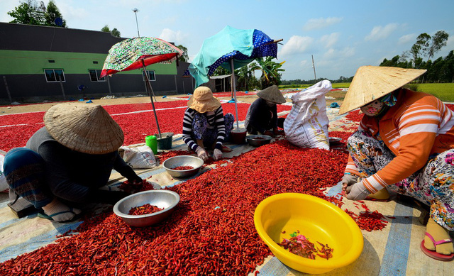 ​High levels of carcinogen found in chili powder in Vietnam