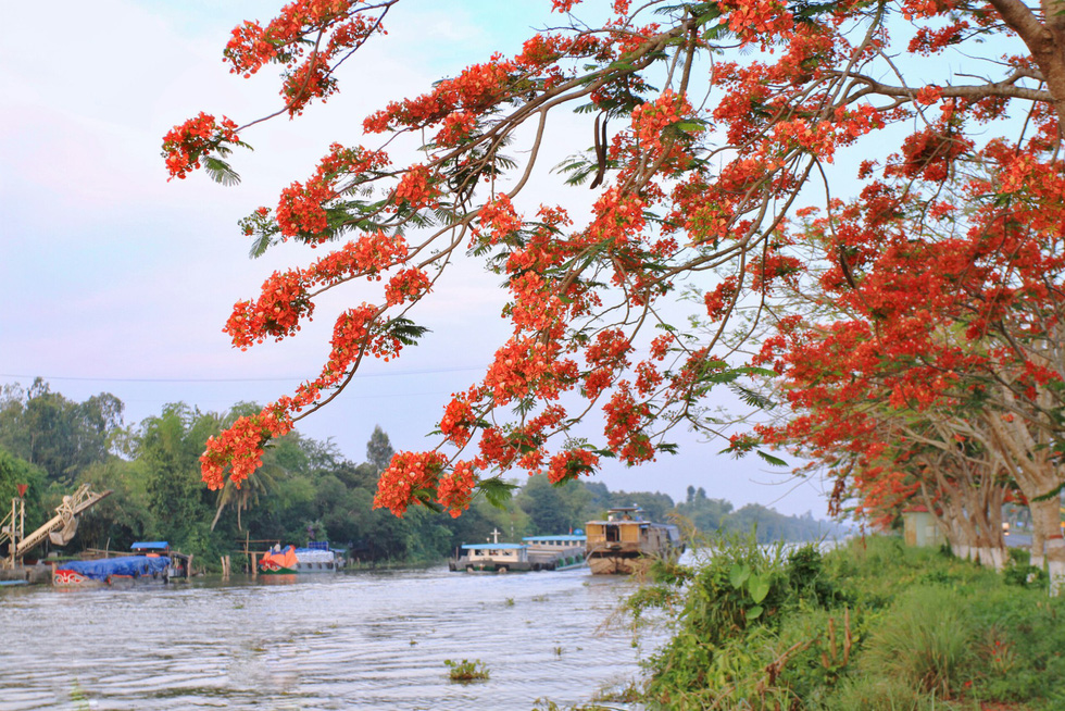 Next to the endearing blossoms is another no less alluring river, making the experience all the more opulent.