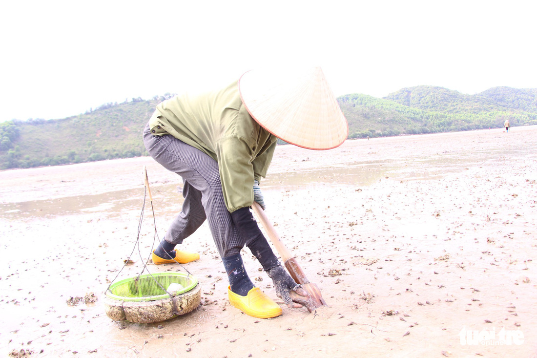 A woman is seen hunting peanut worms.