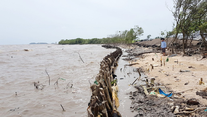 Riverbank, coastal erosion devouring Vietnam’s Mekong Delta region ...