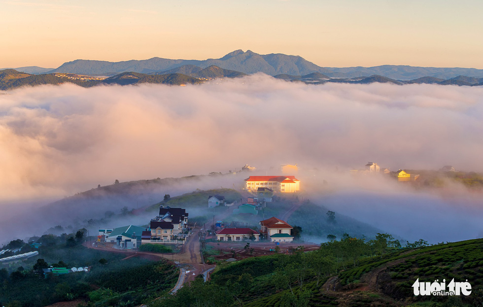 Da Lat is covered in fog in the early morning hours. Photo: Tuoi Tre