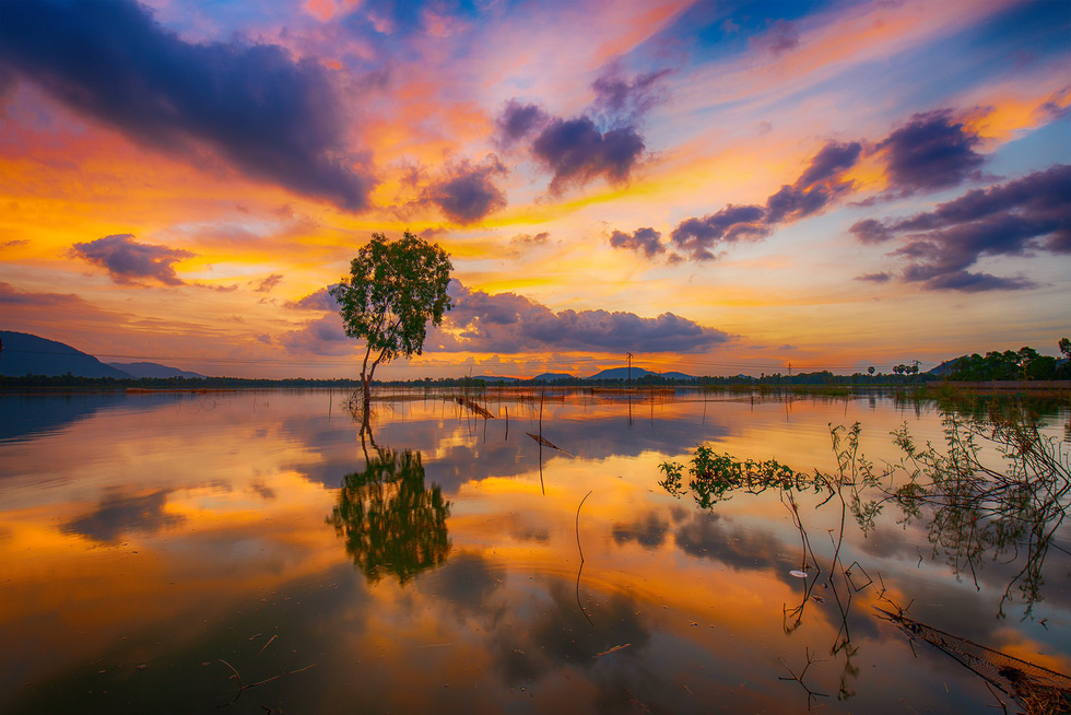 Tranquil water covers rice fields in An Giang Province, southern Vietnam. Photo: Tuoi Tre