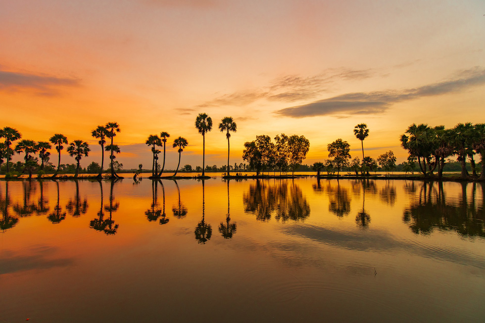 Palm trees are silhouetted in An Giang Province, southern Vietnam. Photo: Tuoi Tre
