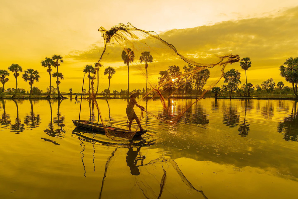 A fisherman casts a net over a flooded rice paddy in An Giang Province, southern Vietnam. Photo: Tuoi Tre