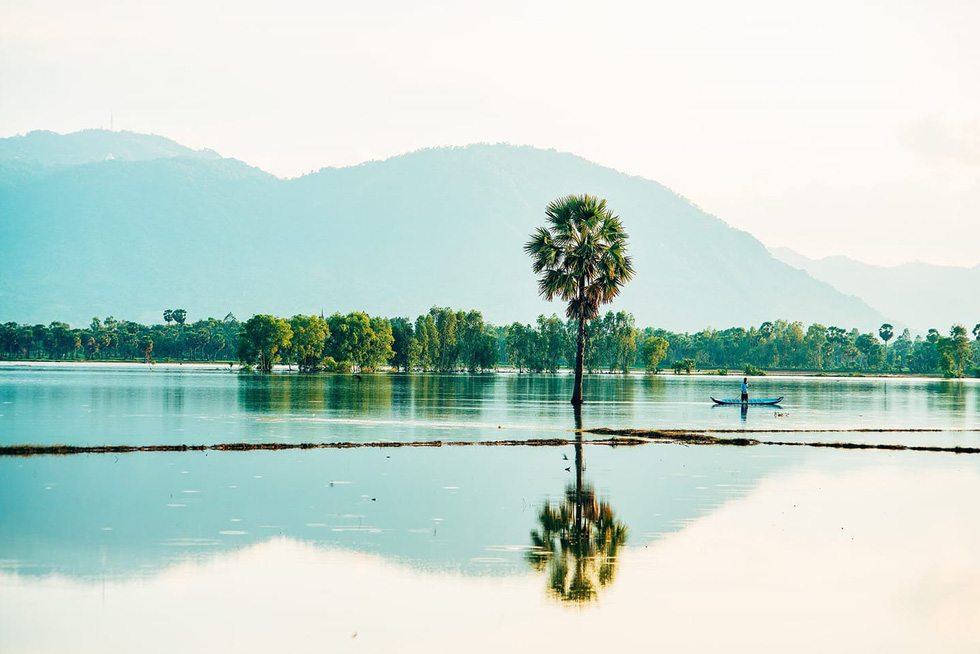 A palm tree and its reflection in An Giang Province, southern Vietnam. Photo: Tuoi Tre