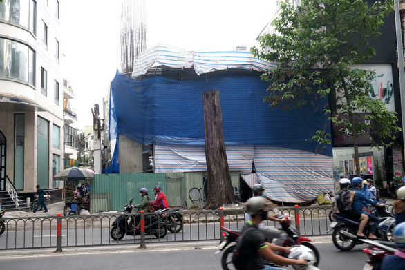 Dried tree trunk in front of one of the constructions on 3/2 Street in District 10. Photo: Tuoi Tre