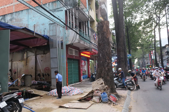 Dead tree in front of a construction on 35 Tran Quang Khai Street, Tan Dinh District. Photo: Tuoi Tre