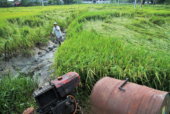 A farmer squelches to a diesel machine used as a water pumper in his paddy field in Tien Giang Province, southern Vietnam, November 27, 2018. Photo: Tuoi Tre
