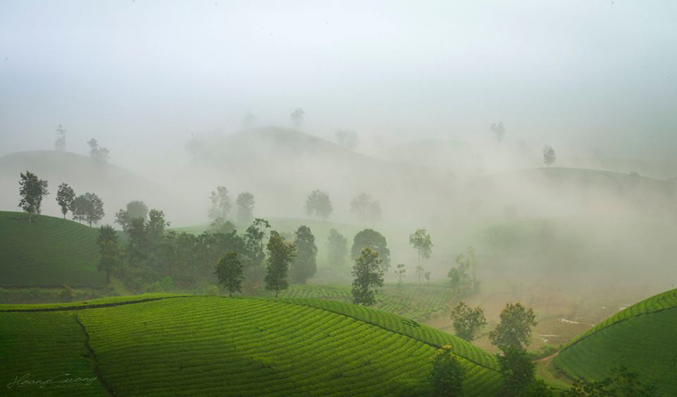 Photo: Pham Hoang Cuong