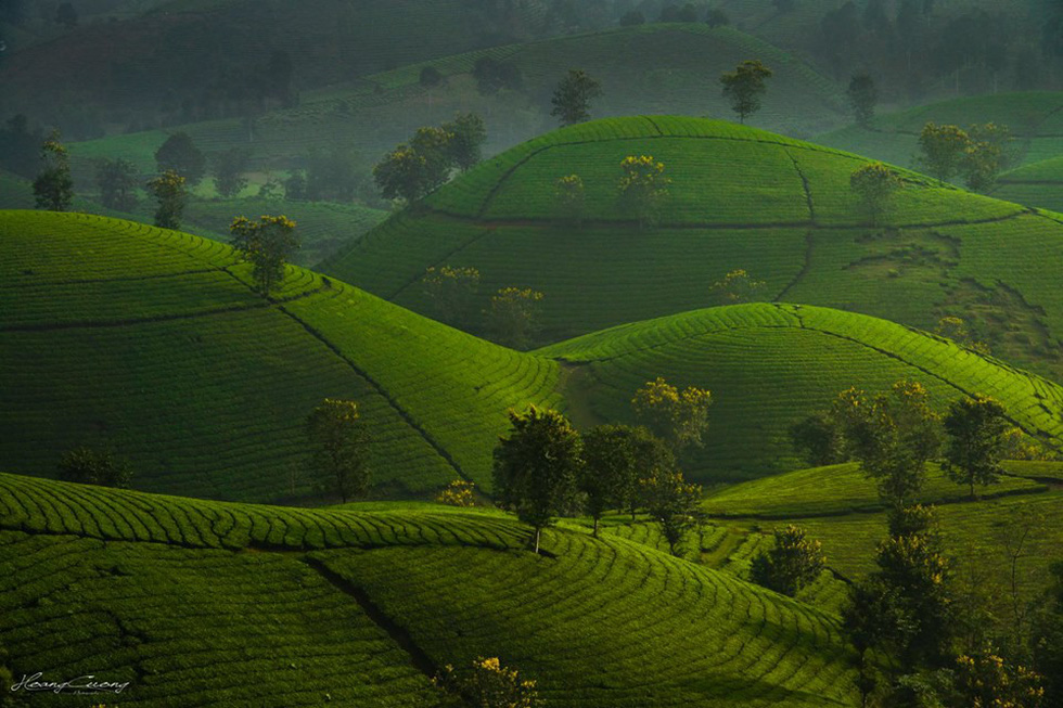 Photo: Pham Hoang Cuong