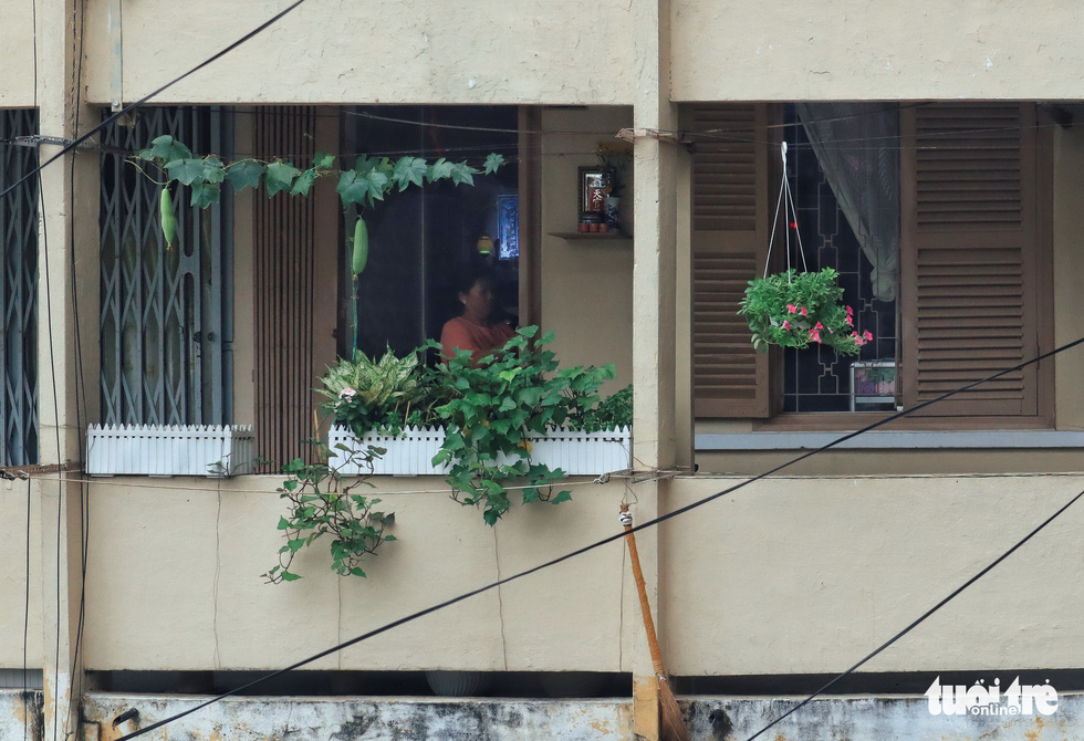 A small garden at the Hang Phan apartment building in Ho Chi Minh City, Vietnam. Photo: Tuoi Tre