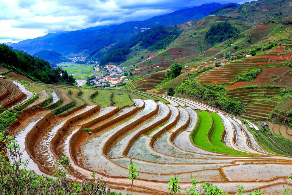 Terraced fields in Vietnam. Photo: Hoang Thai/Yourshot/National Geographic