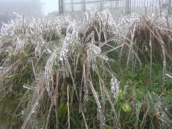 Frost form at Mau Son. Photo: Tuoi Tre