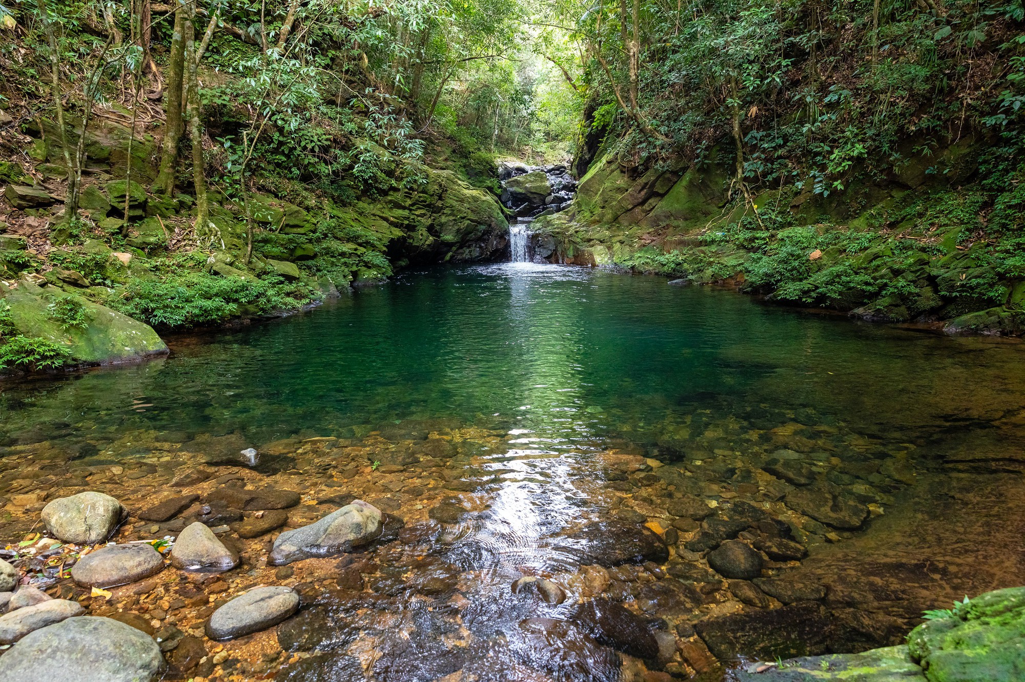 A spring in Bach Ma Range in central Vietnam. Photo: Nguyen Phong