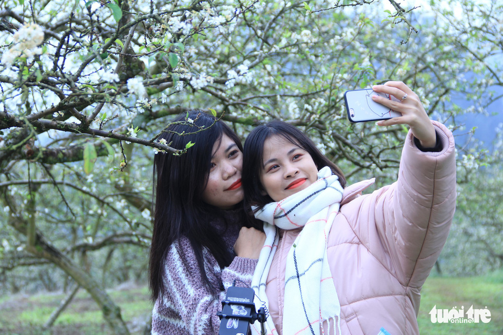 Two visitors take a selfie with the plum flowers. Photo: Tuoi Tre