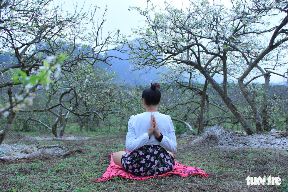 A visitor practices yoga among the serene white color of the blooms. Photo: Tuoi Tre