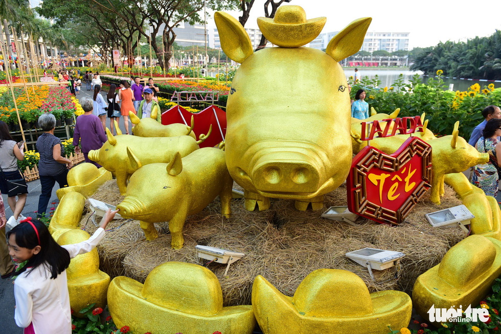 A herd of golden pigs surrounded by ancient gold ingots. Quang Dinh / Tuoi Tre